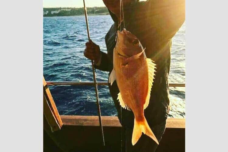 Nirvana Çeşme Tekne Turu Galeri