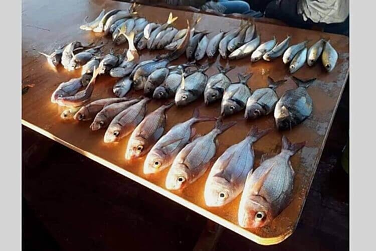 Nirvana Çeşme Tekne Turu Galeri